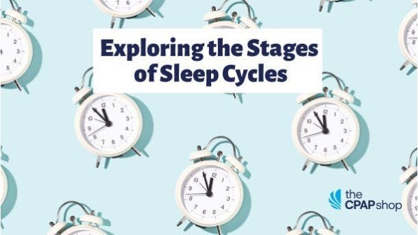 Exploring The Stages Of Sleep Cycles