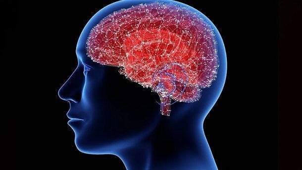 xray image of brain inside head