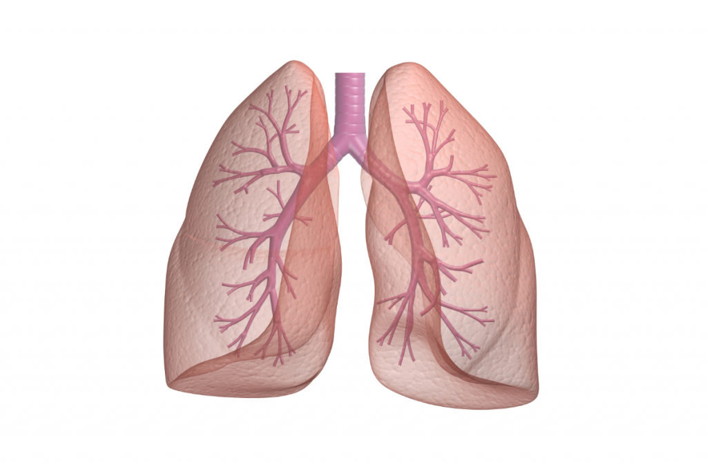 Lung Volume and OSA as Relates to Sleep Apnea Machines