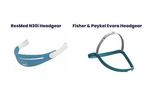 Resmed N30i Headgear vs Fisher & Paykel Evora Headgear
